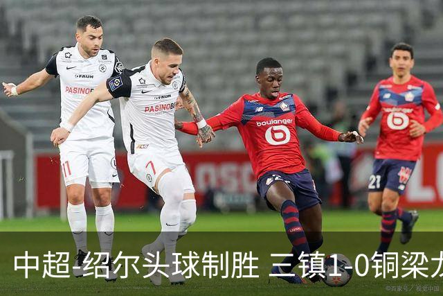 中超-绍尔头球制胜 三镇1-0铜梁龙再抢三分夺2连胜