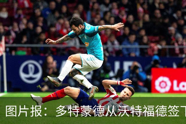图片报：多特蒙德从沃特福德签下了一位草坪管理专家