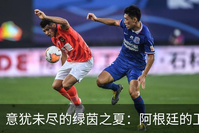 意犹未尽的绿茵之夏：阿根廷的卫冕梦碎与释怀