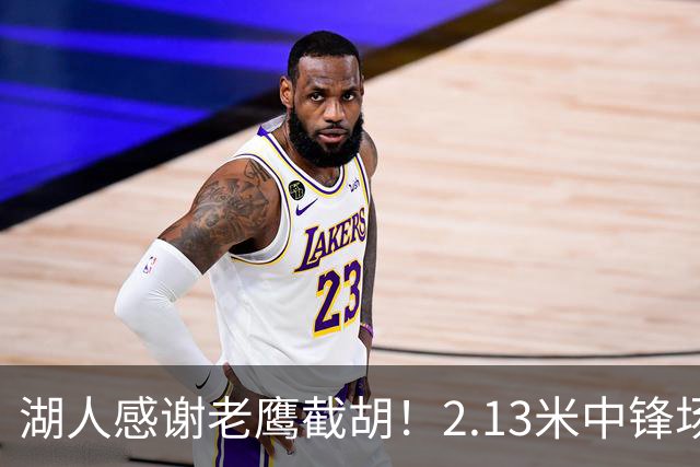 湖人感谢老鹰截胡！2.13米中锋场均8+4远低预期 萨总930万亏哭了