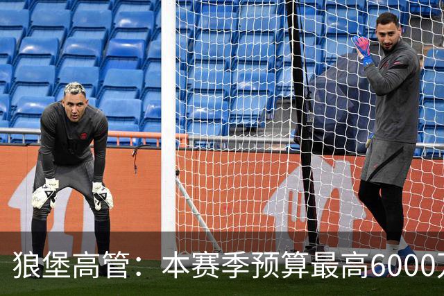 狼堡高管：本赛季预算最高6000万欧，力争完成在德乙的目标